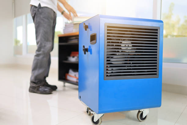 Best Industrial Mold Remediation  in Coal City, WV