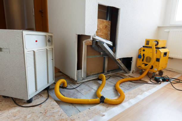 Best Emergency Mold Remediation  in Coal City, WV