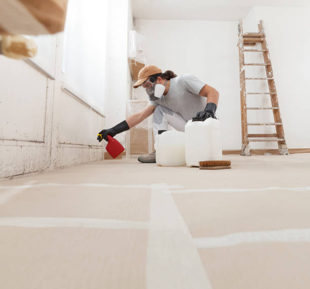  Coal City, WV Mold Removal Pros